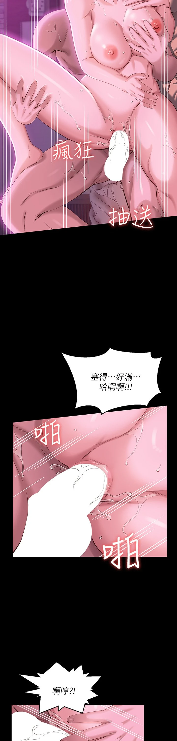 万能履历表