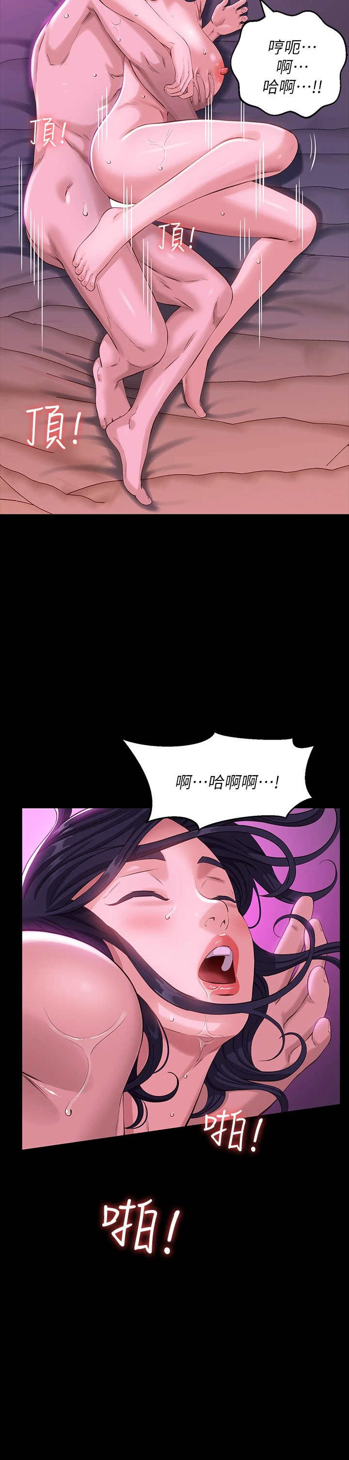 万能履历表