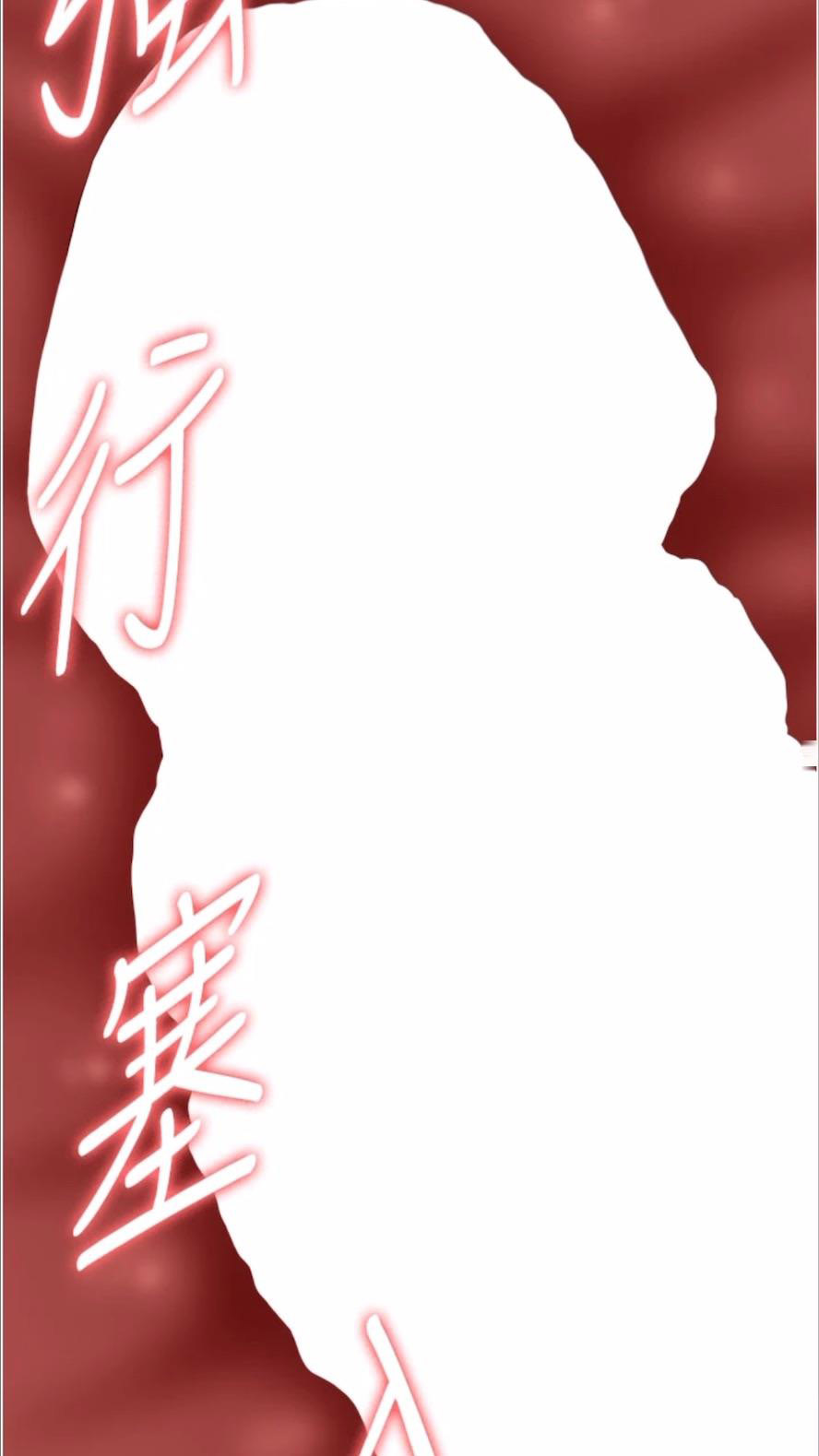 万能履历表