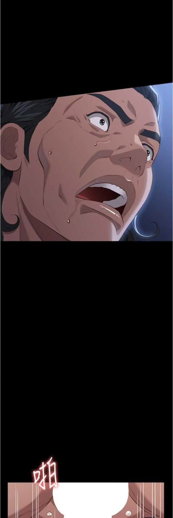 万能履历表