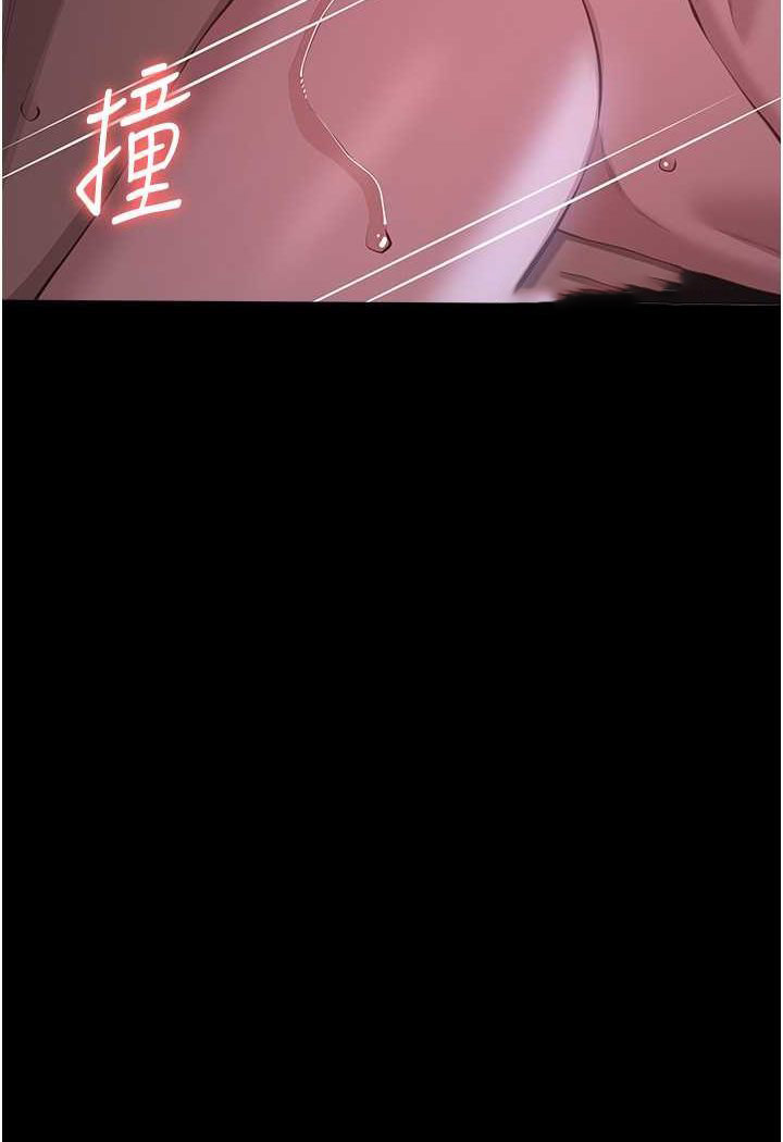 万能履历表