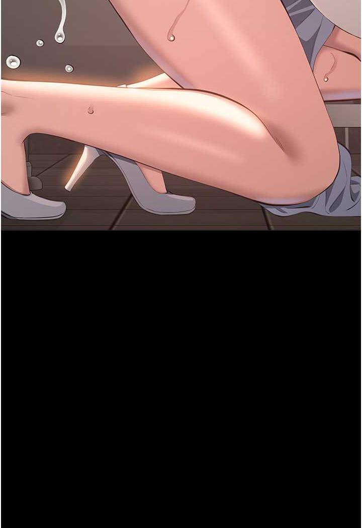 万能履历表