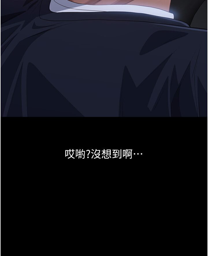 万能履历表