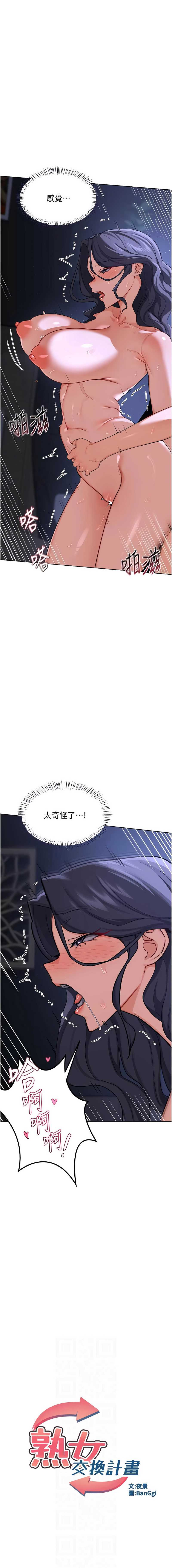 熟女交换计划