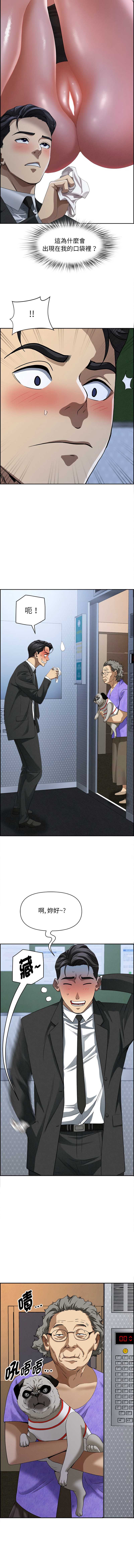贵妇的专属保镖