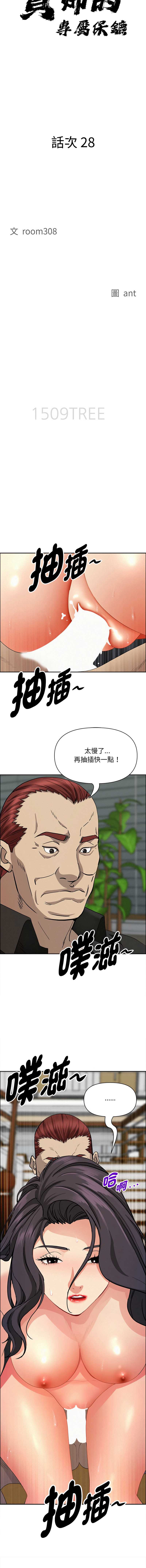 贵妇的专属保镖