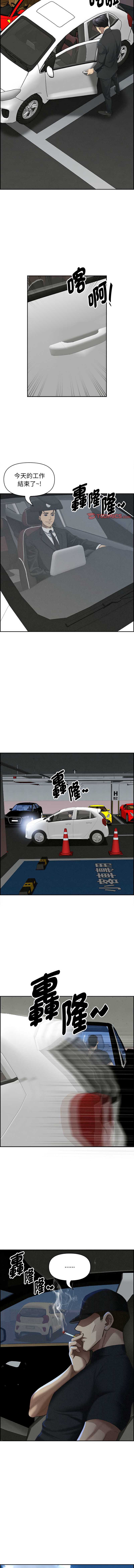 贵妇的专属保镖