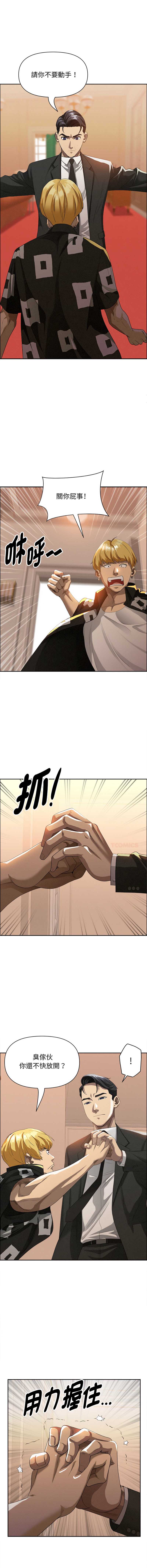 贵妇的专属保镖