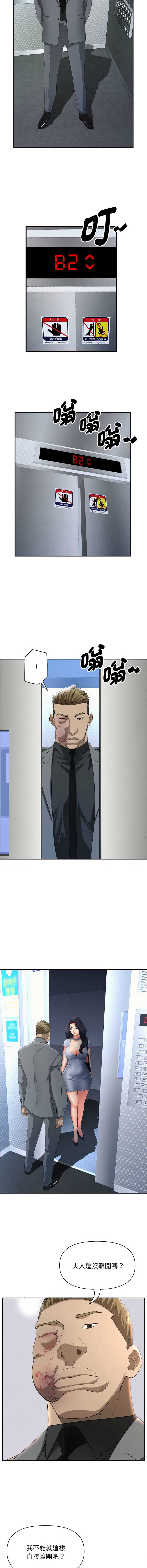 贵妇的专属保镖