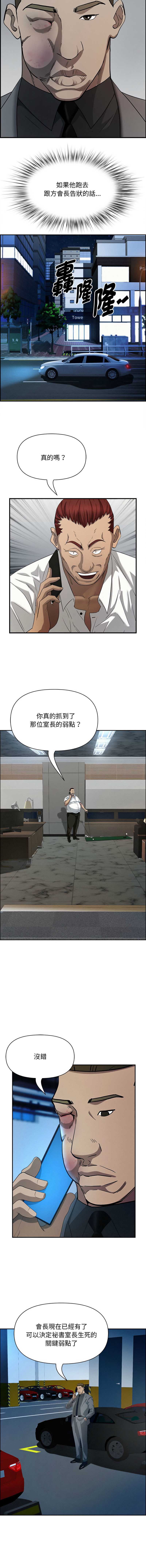 贵妇的专属保镖