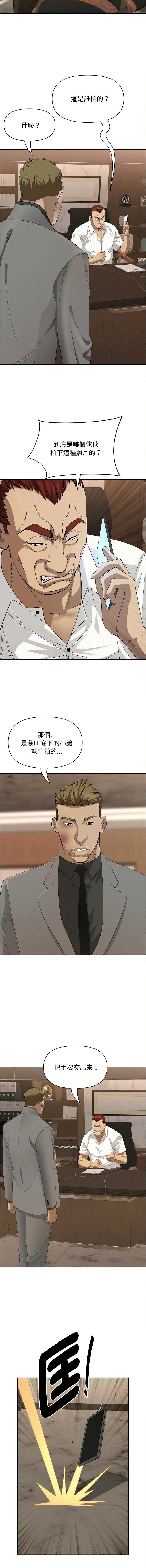 贵妇的专属保镖