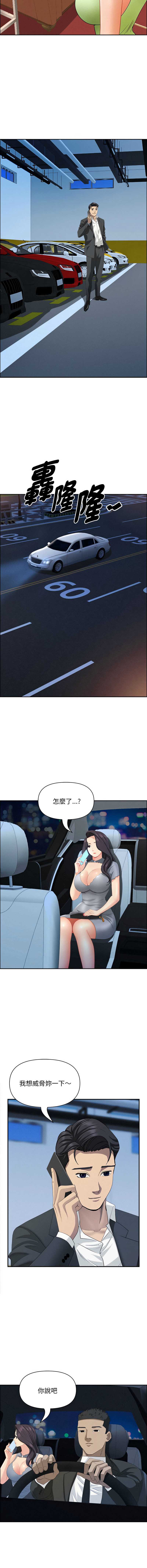 贵妇的专属保镖