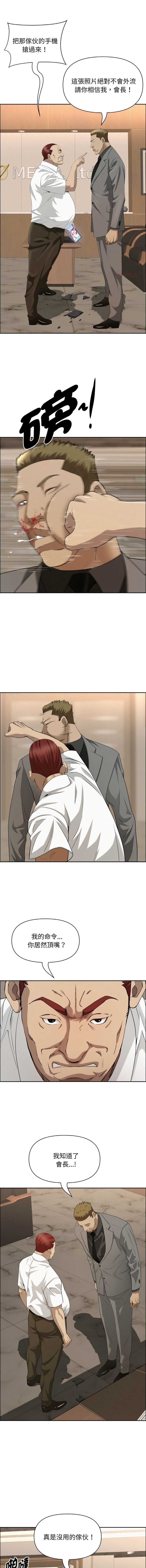 贵妇的专属保镖