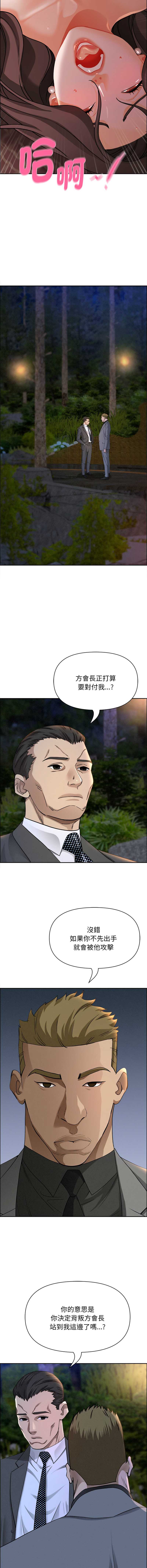 贵妇的专属保镖
