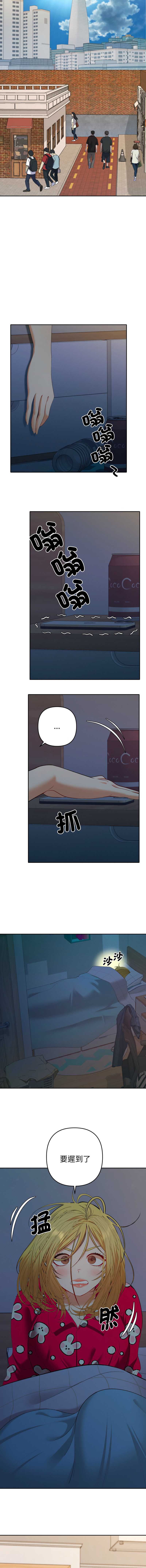 全员交往中