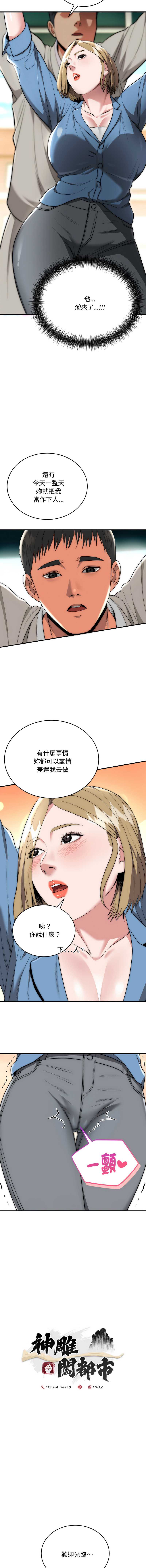 神雕闯都市