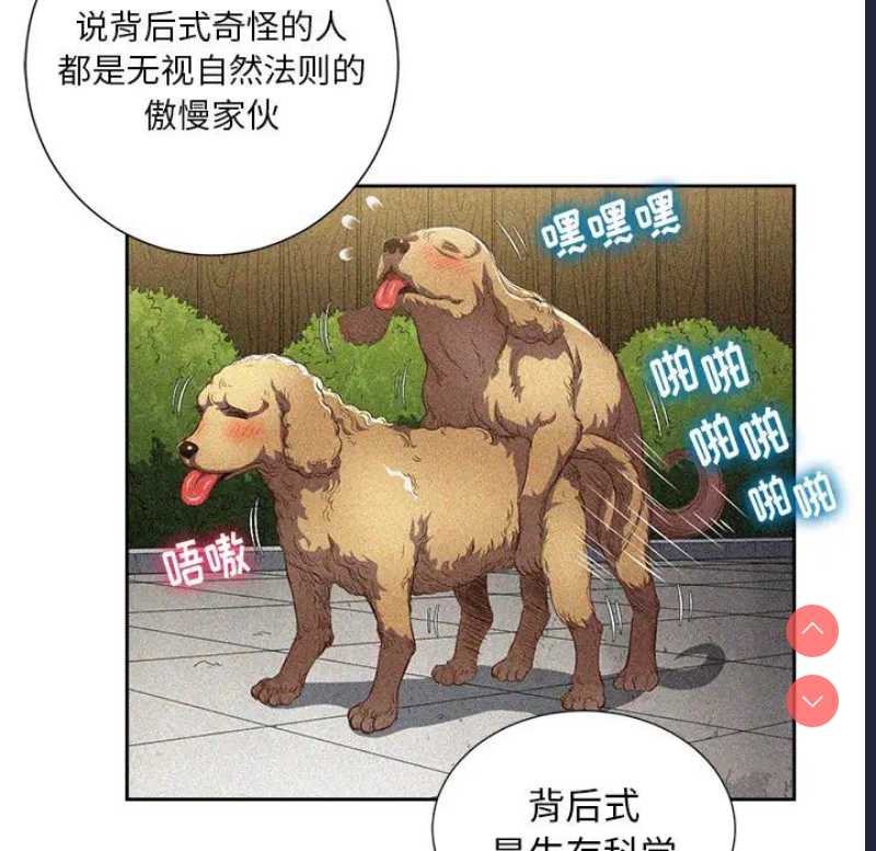 恶女勾勾缠