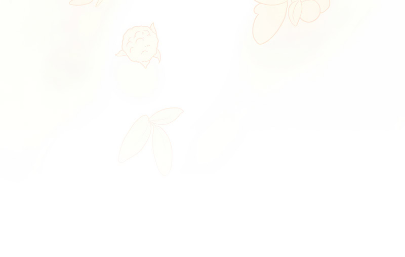 下班后的秘密关系