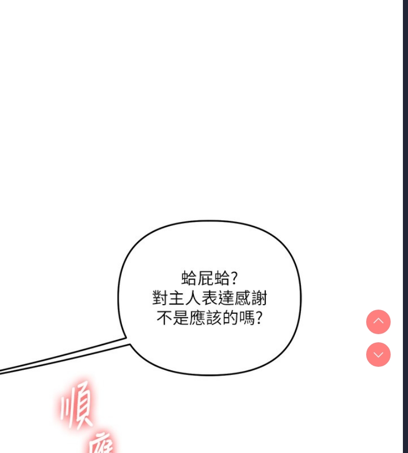 玩转学姐