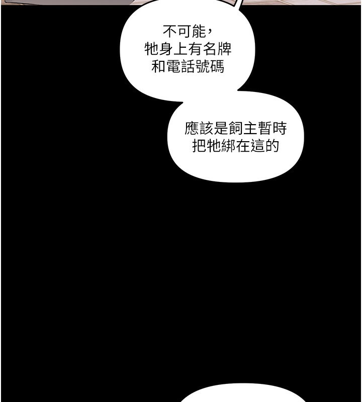 玩转学姐
