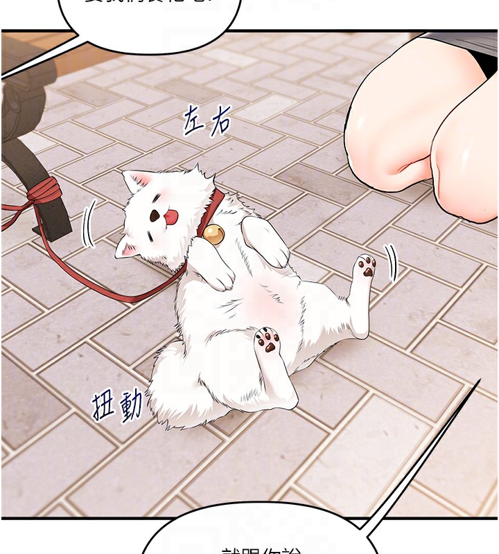 玩转学姐