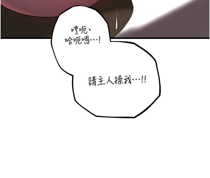 岳母为何那样