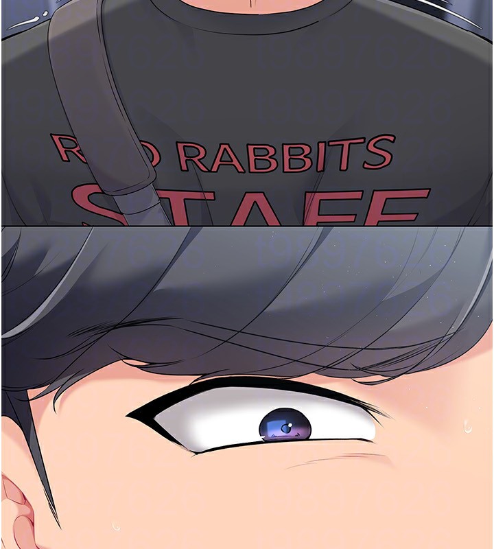 Set up!排球少女