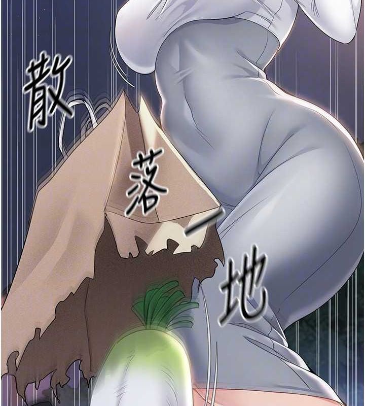 Set up!排球少女