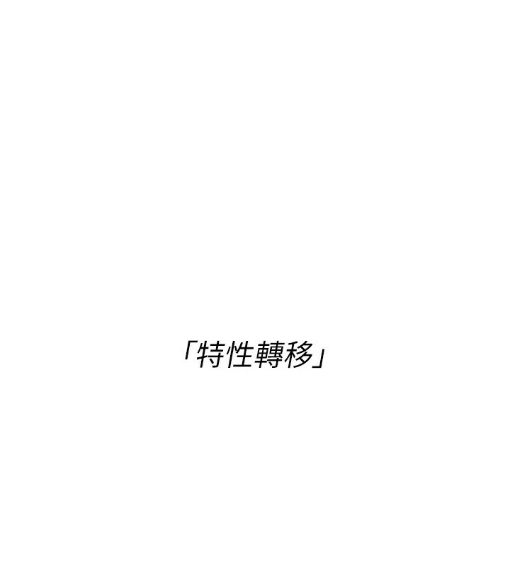 Set up!排球少女