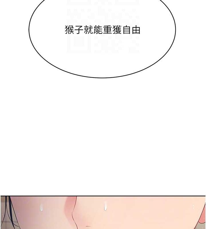 Set up!排球少女